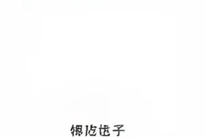《沉默的转发链》封面：链条状转发图标与断裂节点